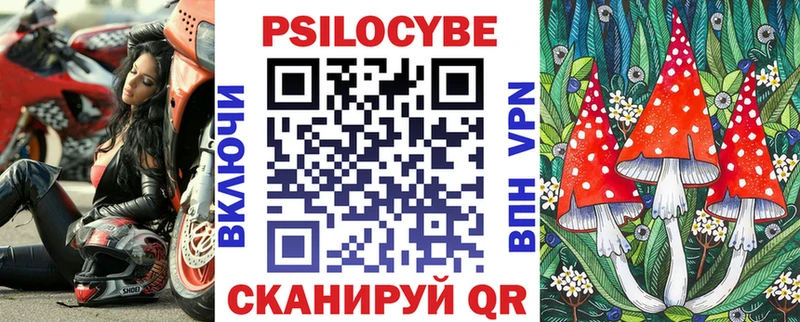 где найти   Кущёвская  KRAKEN зеркало  Галлюциногенные грибы мухоморы 